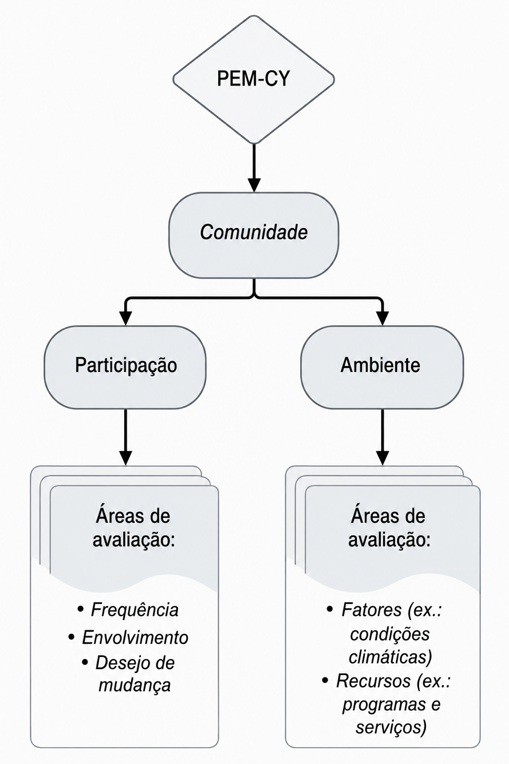 Figura 1. Fluxograma de caracterização do instrumento PEM-CY